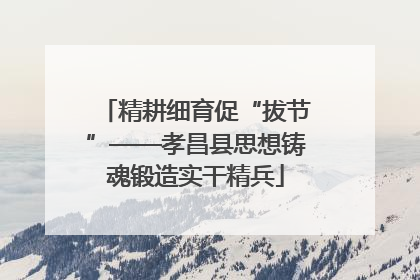 精耕细育促“拔节”——孝昌县思想铸魂锻造实干精兵