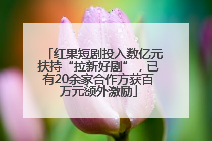 红果短剧投入数亿元扶持“拉新好剧”，已有20余家合作方获百万元额外激励