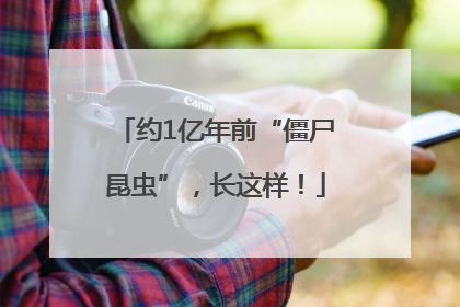 约1亿年前“僵尸昆虫”，长这样！