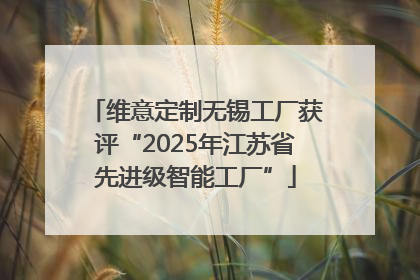 维意定制无锡工厂获评“2025年江苏省先进级智能工厂”