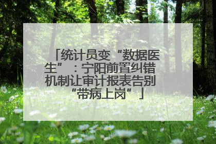 统计员变“数据医生”：宁阳前置纠错机制让审计报表告别“带病上岗”