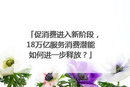 促消费进入新阶段，18万亿服务消费潜能如何进一步释放？