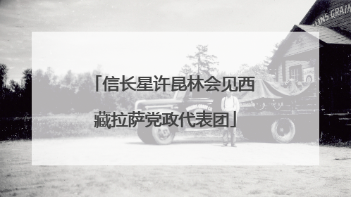 信长星许昆林会见西藏拉萨党政代表团