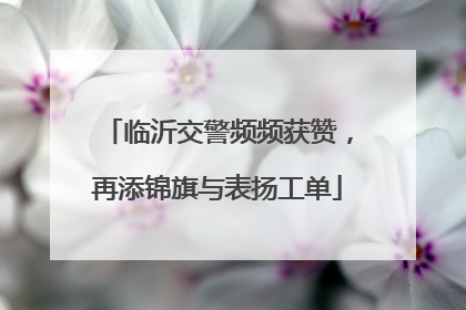 临沂交警频频获赞，再添锦旗与表扬工单