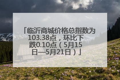 临沂商城价格总指数为103.38点，环比下跌0.10点（5月15日—5月21日）