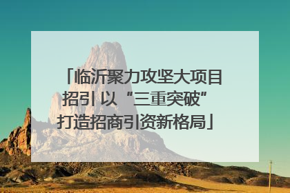 临沂聚力攻坚大项目招引 以“三重突破”打造招商引资新格局