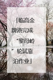 临高金牌港完成“黎母岭”轮试靠泊作业