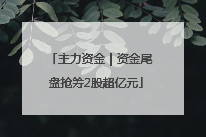 主力资金｜资金尾盘抢筹2股超亿元