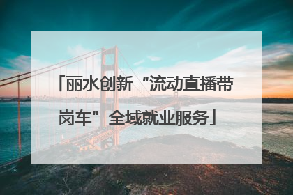 丽水创新“流动直播带岗车”全域就业服务