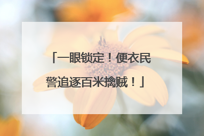 一眼锁定！便衣民警追逐百米擒贼！