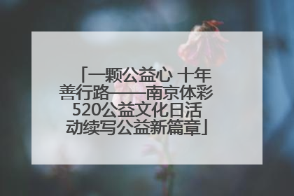 一颗公益心 十年善行路——南京体彩520公益文化日活动续写公益新篇章