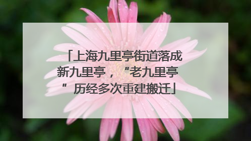 上海九里亭街道落成新九里亭，“老九里亭”历经多次重建搬迁