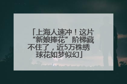 上海人速冲！这片“新娘捧花”阶梯藏不住了，近5万株绣球花如梦似幻