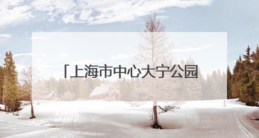 上海市中心大宁公园音乐喷泉焕新回归 “科技硬件”与“文化软件”完美融合