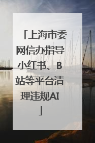 上海市委网信办指导小红书、B站等平台清理违规AI