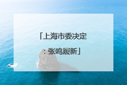 上海市委决定：张鸣履新