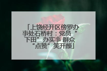 上饶经开区傍罗办事处石桥村：党员“下田”办实事 群众“点赞”笑开颜