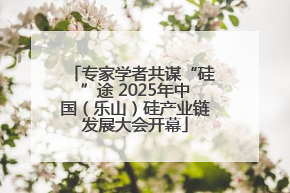 专家学者共谋“硅”途 2025年中国（乐山）硅产业链发展大会开幕