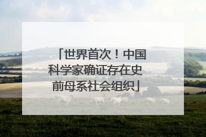 世界首次！中国科学家确证存在史前母系社会组织