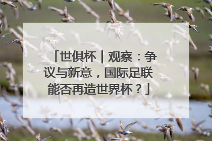 世俱杯｜观察：争议与新意，国际足联能否再造世界杯？