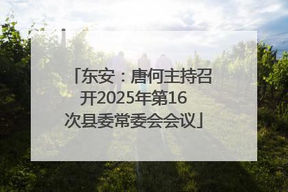 东安：唐何主持召开2025年第16次县委常委会会议