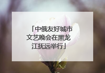 中俄友好城市文艺晚会在黑龙江抚远举行