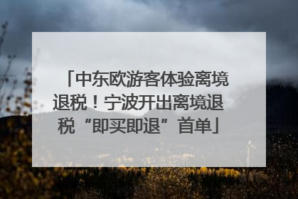 中东欧游客体验离境退税！宁波开出离境退税“即买即退”首单