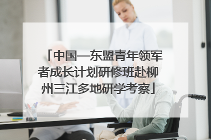 中国—东盟青年领军者成长计划研修班赴柳州三江多地研学考察