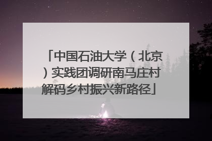 中国石油大学（北京）实践团调研南马庄村解码乡村振兴新路径