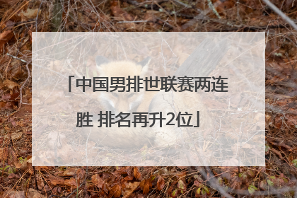 中国男排世联赛两连胜 排名再升2位