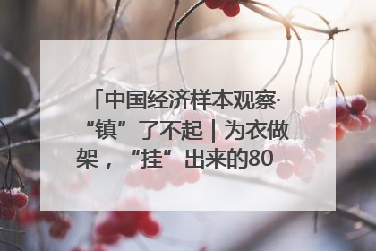 中国经济样本观察·“镇”了不起｜为衣做架，“挂”出来的80亿元“衣架产业”