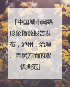 中国城市网络形象指数报告发布，泸州：治理、宜居方面的双优典范