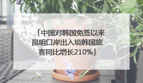 中国对韩国免签以来昆明口岸出入境韩国旅客同比增长210%