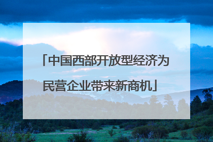 中国西部开放型经济为民营企业带来新商机