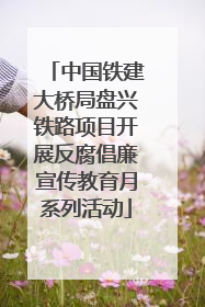 中国铁建大桥局盘兴铁路项目开展反腐倡廉宣传教育月系列活动