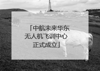 中航未来华东无人机飞训中心正式成立