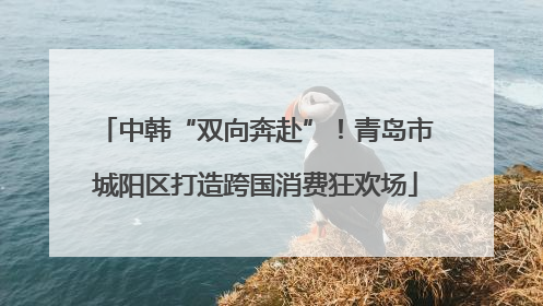 中韩“双向奔赴”！青岛市城阳区打造跨国消费狂欢场