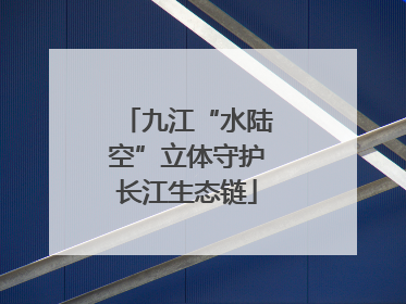 九江“水陆空”立体守护长江生态链
