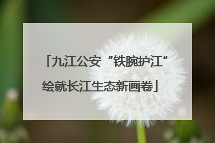 九江公安“铁腕护江”绘就长江生态新画卷