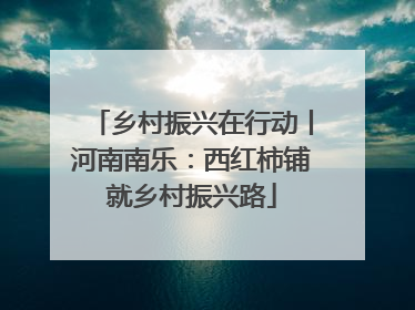 乡村振兴在行动丨河南南乐：西红柿铺就乡村振兴路