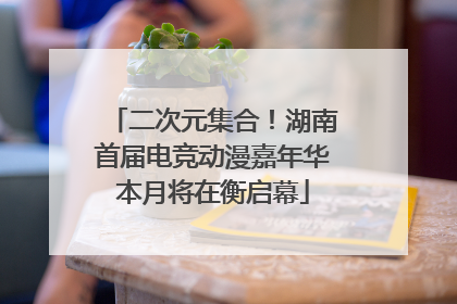 二次元集合！湖南首届电竞动漫嘉年华本月将在衡启幕