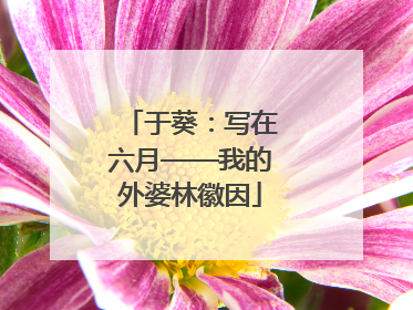 于葵：写在六月——我的外婆林徽因