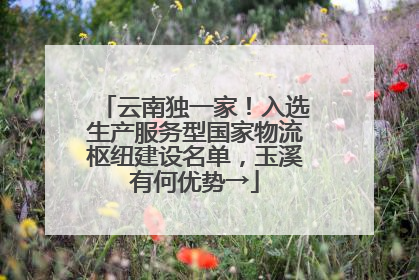 云南独一家！入选生产服务型国家物流枢纽建设名单，玉溪有何优势→
