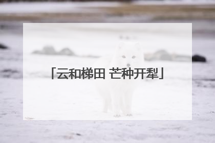 云和梯田 芒种开犁