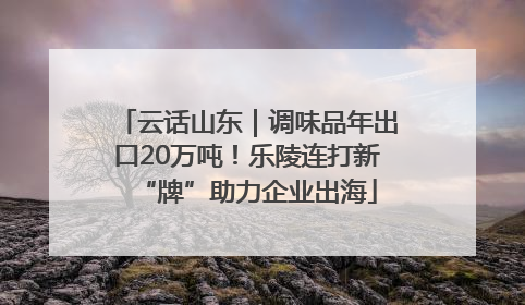 云话山东｜调味品年出口20万吨！乐陵连打新“牌”助力企业出海