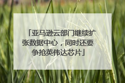 亚马逊云部门继续扩张数据中心，同时还要争抢英伟达芯片