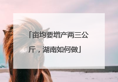 亩均要增产两三公斤，湖南如何做