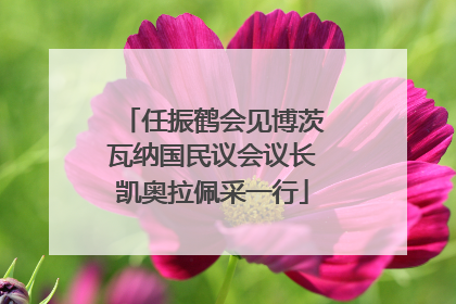 任振鹤会见博茨瓦纳国民议会议长凯奥拉佩采一行