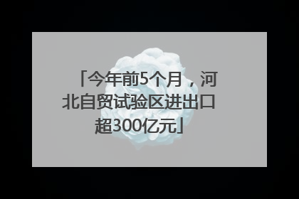 今年前5个月，河北自贸试验区进出口超300亿元