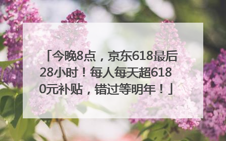今晚8点，京东618最后28小时！每人每天超6180元补贴，错过等明年！